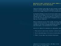 Marketing & Consulting Company - Chicago | Argentum Strategy Group