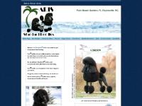 Aris Standard Poodles