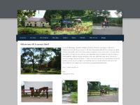 liten arnared.weebly.com skärmbild