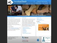 arrowheadranchah.com Phoenix, Glendale, animal arrowheadranchah.com Phoenix, Glendale, animal