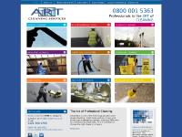 artcleaning.co.uk