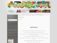 arteflores  arteflores