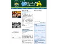 Arte Negra Capoeira - Bordeaux et gironde