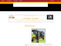 Art' et Miss - La galerie - Les News