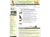 Arthritis in Dogs, Cats, Glucosamine Arthritis in Dogs, Cats, Glucosamine