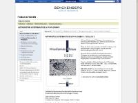 Arthropod Sytematics & Phylogeny