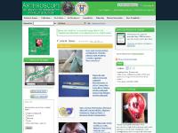 arthroscopyjournal - Elsevier