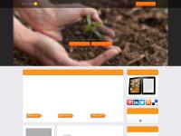 article13.com corporate social responsibility, CSR, consultants