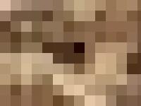 In the Artist's Footsteps In the Artist's Footsteps