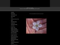 Alastair Nicholson M.A. - Introduction Alastair Nicholson M.A. - Introduction