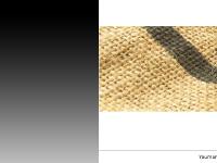 statistik för artnova - artnova.se