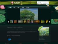 artofhanoi.com art, artist, art of hanoi artofhanoi.com art, artist, art of hanoi