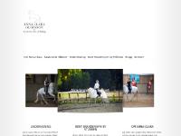 liten artofriding.se skärmbild liten artofriding.se skärmbild