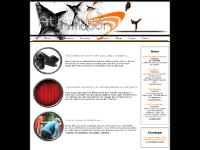 artsinmotion.fr - artsinmotion