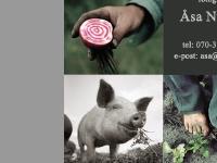 Åsa Nyhlén, Fotograf Åsa Nyhlén, Fotograf