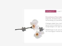 |kontakt?, AMF Fastigheter, ConstructIT, MailDirect  |kontakt?, AMF Fastigheter, ConstructIT, MailDirect