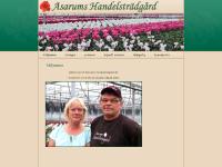 Asarums Handelsträdgård