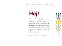 liten asasfirma.se skärmbild