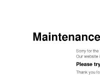  Joe Belia, Joey Stann, John Conte, La Bamba