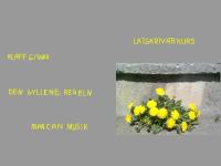 gå till webbplats gå till webbplats