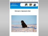 asforsensnewfoundlands.se Om oss, Valpar, Våra Hundar