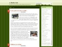 ashelterlife.wordpress.com A Shelter Life, Uncategorized, Border Collie ashelterlife.wordpress.com A Shelter Life, Uncategorized, Border Collie