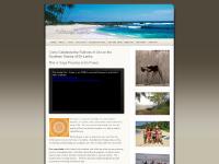 ashtangalanka.com ashtanga yoga in sri lanka, ashtangalanka yoga in sri lanka, beach resort