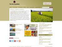 liten asiafoundation.org skärmbild liten asiafoundation.org skärmbild