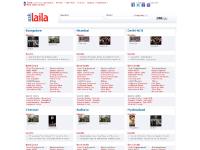 asklaila - India's local information service.