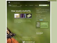 liten asknature.org skärmbild liten asknature.org skärmbild