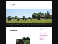 Aspacia | Asp- Avel för Sport & Prestation