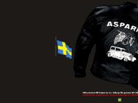 www.asparna.se