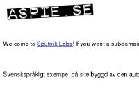 sputnik labs