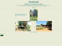 Assbook.se