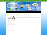 AFER Gestion de patrimoine et placement à Paris 75 et Romainville 93 | Perivaleurs