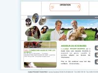 Assurances vétérinaire