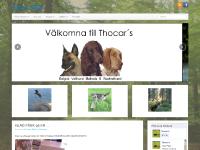 Asta o Åke Malinois Wachtelhund Asta o Åke Malinois Wachtelhund