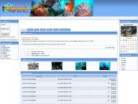 Asterina.org - Club de plongée de Meaux (77 - Seine et Marne) Asterina.org - Club de plongée de Meaux (77 - Seine et Marne)