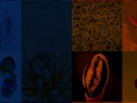 astg - Agathe Saint-Girons