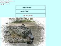astraycat.com - astraycat astraycat.com - astraycat