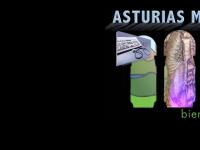 Asturias Médica Asturias Médica