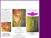 ateljelila.se licka här för karta!, klicka här !, HANDLA! Vill du besöka min ateljé ateljelila.se licka här för karta!, klicka här !, HANDLA! Vill du besöka min ateljé