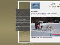 Athapaska sleddog Arne Nylander schlittenhunde unlimited sprint