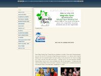 Board of Directors, Volunteer, Freestyler, Club Ice Board of Directors, Volunteer, Freestyler, Club Ice