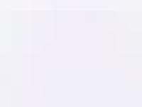 liten attitydsrottweiler.se skärmbild