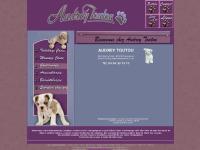 audreytoutou.com audreytoutou.com