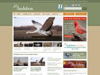 audubon.org Audubon Magazine, Careers, New Audubon Center Opens at Riverlands audubon.org Audubon Magazine, Careers, New Audubon Center Opens at Riverlands