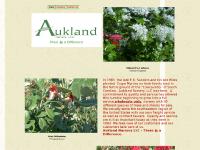 auklandnursery.com landscape design, landscaper, landscapers