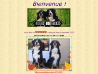 aurus-darko.com Infos Boubounesques, Les Naissances, Les Annonces Spéciales