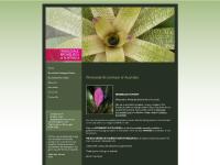 ausbroms.com.au ausbroms.com.au